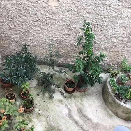 דירה L'arco פוליניו